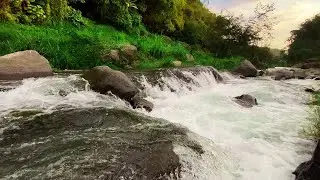 Symphony of Forest Birds and Streams, Relaxing Nature Sounds, Peaceful Nature Heals the Soul, Mind