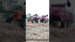 Rhodes Grass Hay BAILING with New Holland crop cutter BB 960A & Fiat 4x4