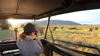 Safari in Kenya | Travelling to Africa during the Corona Pandemic | Kenya 2020 (4K-Video)