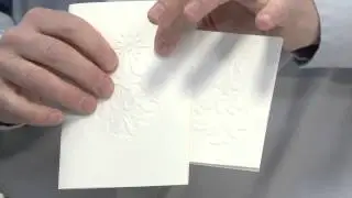 Textured Impressions