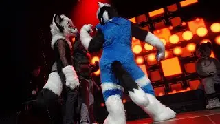NFC 2025 - Paws on Air