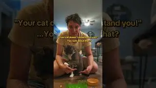 &laquo;Ты уверен, что это не собака?&raquo; Да, конечно. Дрессировка применима не только к собакам.