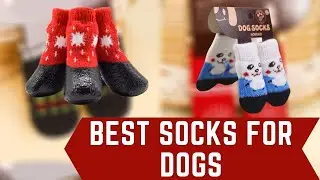 Best Socks for Dogs - Aliexpress Top 5 Socks for Pets Reviews