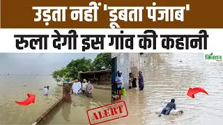 Punjab Flood: Heavy devastation due to floods in Punjab, people are trying to avoid destruction by building dams themselves.