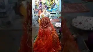 কুমারী পুজো🌼🌸 #viral #familyvlog #shortvideo #sprinkle #trending #food #dailyvlog #cakers