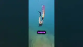Нырнула за бутылкой&hellip; и всех поразила 🫧📸