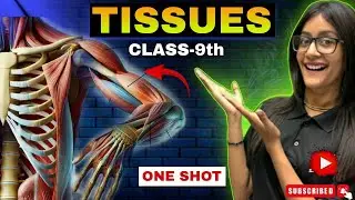 🔴 Class 9 Tissues Chapter One Shot | Full NCERT Revision | Final Exam 2025 | Naina Ma&rsquo;am