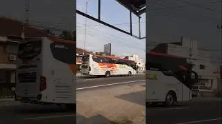 hino engine bus: Eka Bus