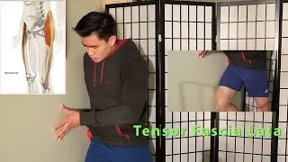 Tensor Fasica Latae: Lateral/Anterior Thigh & Hip Pain Massage