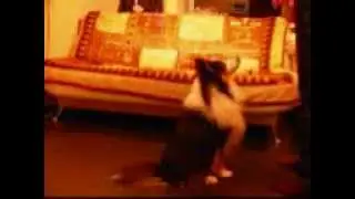 furry Miracle :)
