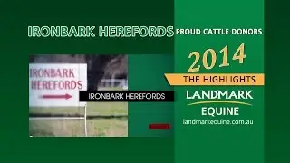 Proud Cattle Donors Iron Bark Herefords