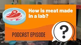 But Why Kids | How is meat made in a lab? | Full Podcast Episode