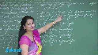 NEET UG 2017: Video Solution & Answer Key for Biology Question 116 to 118
