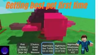 Getting best pet first time grow a garden trade Roblox 😁
