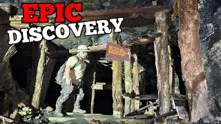 Mind Blowing Secret Buried in The Woods