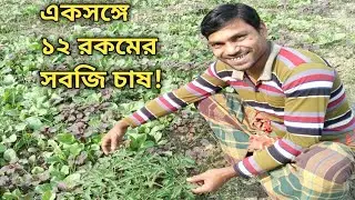একসাথে ১২ রকম সফলতা, ভাইরাল কৃষি। #rajtimelessexplore #farming #harvest #vegetables #success #agro