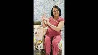 Day 3 vlog- From ruff to revamped. Dogesh world.