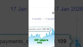 Surge In XRP Transactions: 1.45 Million Daily Users Could Signal Price Rally Ahead
