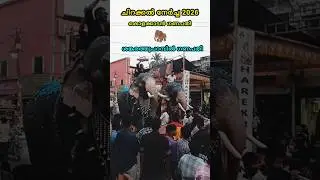 chirakkal nercha 2026 | shankarathu parambil ganapathy 🦣 #short