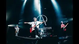 ACE COLLECTION - ROCK STAR【Live Video From AKASAKA BLITZ】