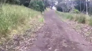 Mount Gambier Tower 10.5 k Trail Course