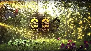 Branding Solutions Video Asset