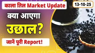 काली तिल भाव 2025 🚀 | Black Sesame Price Today | Oilseed Market Big Update