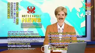 2675 NWN 7 UK couple save pregnant donkey person&rsquo;s life in Cape Verde 1080p