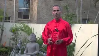 The Longevity Phenomenon    Unlocking The Qi Gong Secret   B