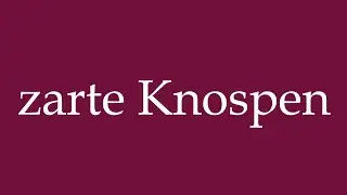 How to Pronounce ''zarte Knospen'' (delicate buds) Correctly in German