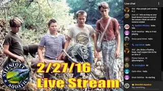 Aquarium Fish Tank Livestream - For Tropical Fish Enthusiasts - You asked for it!!!