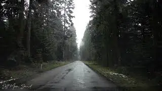 Soft Ambient Music for Sleep and Calm | Winter Moon Calm