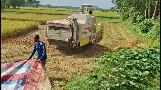 খুব সহজে মেশিনের মাধ্যমে ধান কাটা হচ্ছে