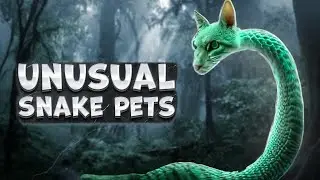 What Are the Most Unusual Snake Pets? |Exploring Unique Serpent Companions!