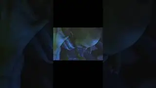Vaas Death