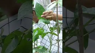 👉Agriculture growth in india 👈#agriculture #farmer #viral #trending #farming #youtubeshorts #shorts
