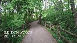 On the Hike with Royster - Blendon Woods Metro Park (Westerville, OH)