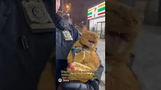 Cat Arrested at 7-Eleven for Stealing Hotdogs 😭🌭 #memes #aivideo #catvideos