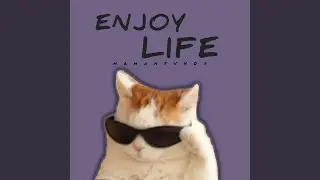 Enjoy Life