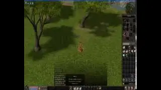 Metin2 Joker on Silenceworld2
