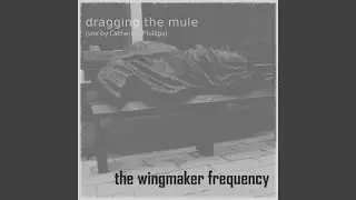 The Wingmaker Frequency