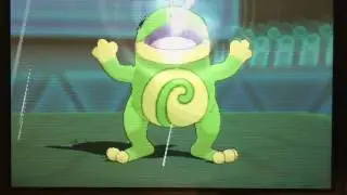 Pokemon ORAS Random Wifi Battle #119 The Return of my Rain Team