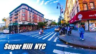 Choco Goes Sugar Hill, Harlem NYC | Biking Cycling Upper Manhattan New York City