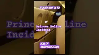 Prinvestigation Journey into a deep dive of Princes investigation