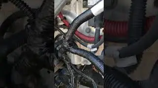Wiring Harness Explained for Detroit 60 Series in CASCADIA 