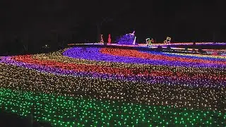 冬の光物語