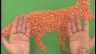 Art Attack - Series 18, Episode 17 (2005)