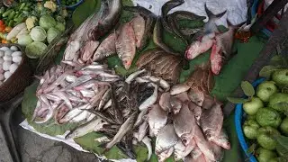 Morning Daily LifeStyle of Vendors @Phsa Kilometers 4 - Walk Around Street Food Market in Town
