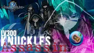 Knuckles Assassin Lv300  Crimson onyx knuckles Build •Building Equipment Guide • Toram online