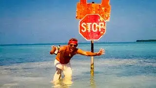[FREE] Talinwya x Oodaredevil type beat - 